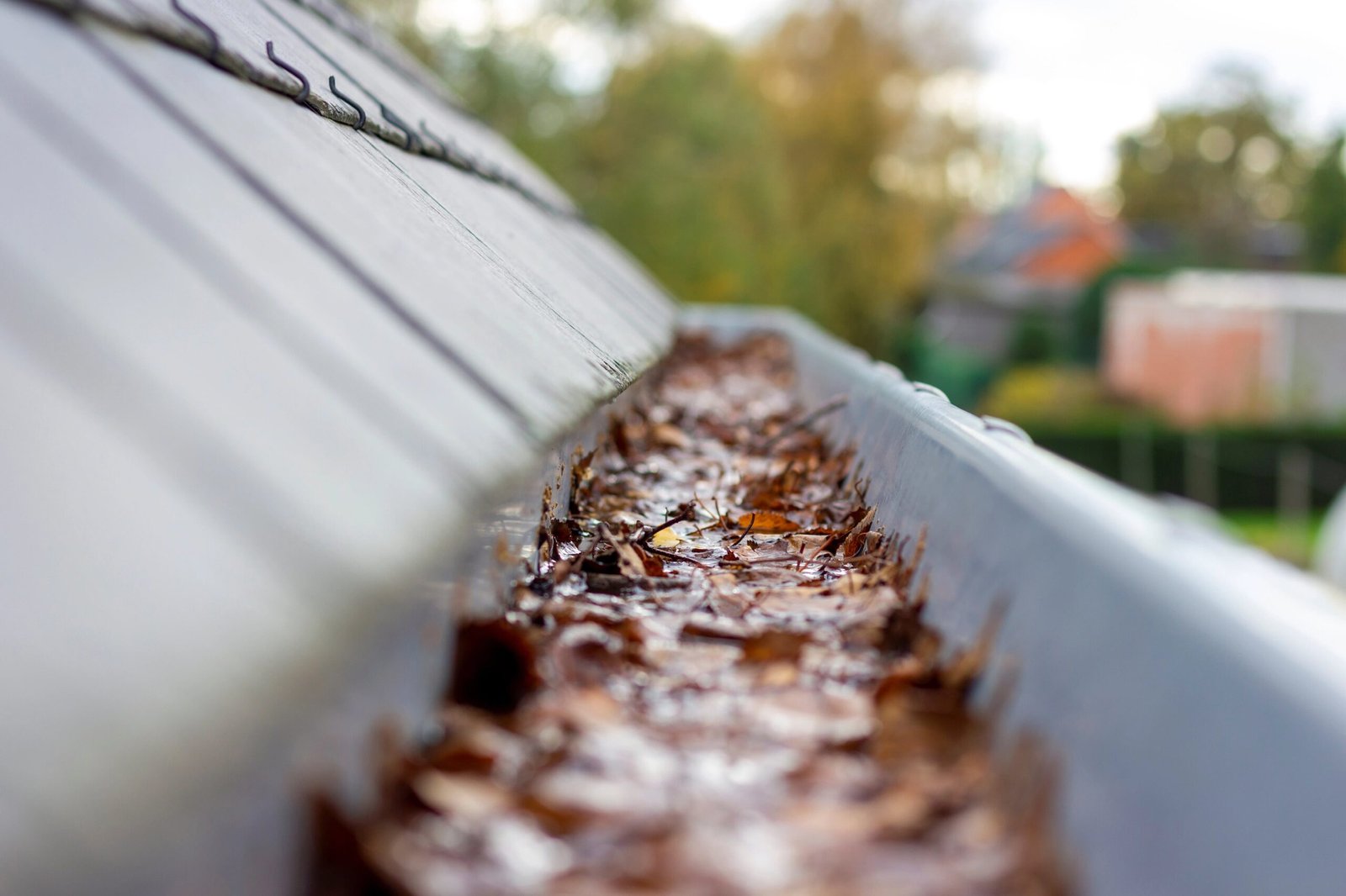 Gutter with leaves in it min